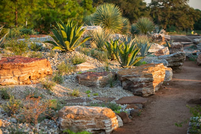 Houston Botanic Garden_Arid Valley in Global Collection Garden.jpg