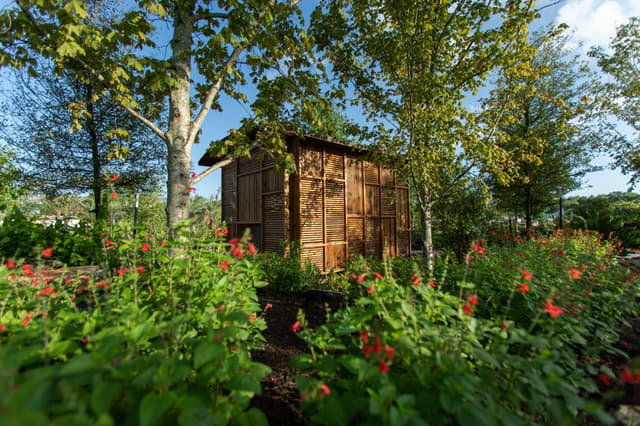 Houston Botanic Garden_Curiosity Cabinet in Upland Forest in Global Collection Garden.jpg