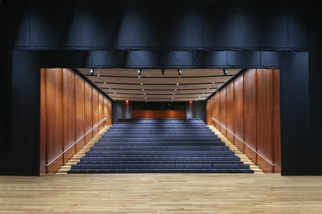 Brown Foundation Performing Arts Theater
