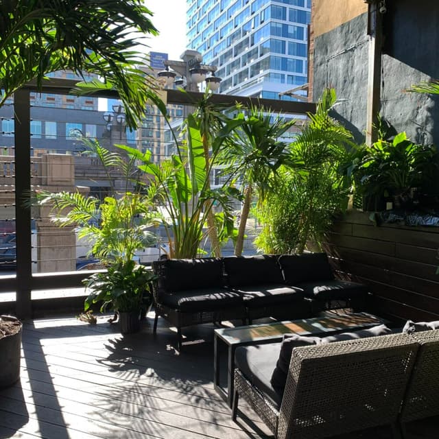 Rooftop.jpg