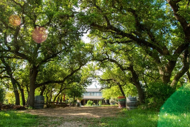 Jester King Brewery Buyout