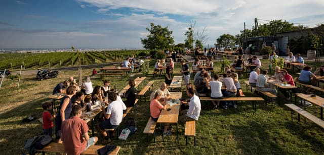 reservieren-header.jpg