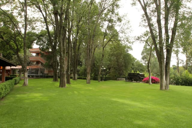 Jardin Alamos Carreta