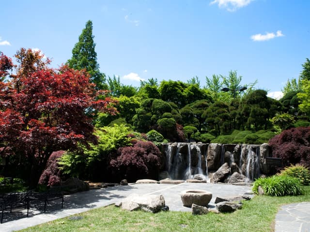 Waterfall Garden