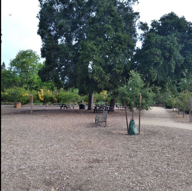 Playground Picnic Area - Day Use Only