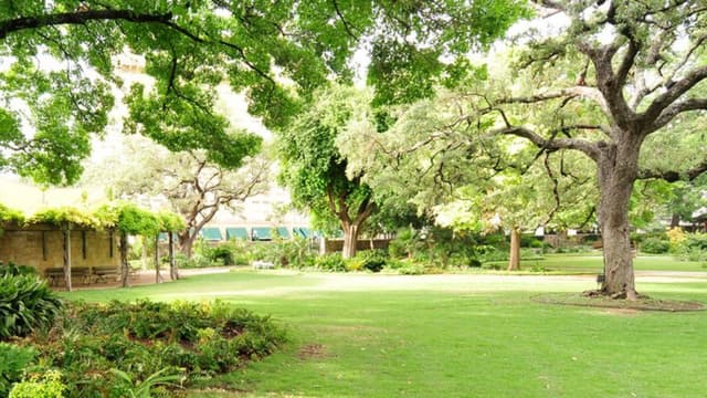 Alamo Gardens - South Gardens