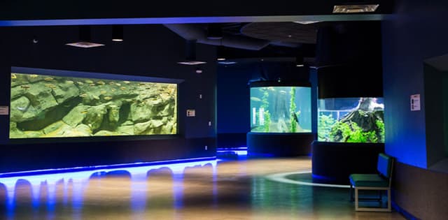 Aquarium Rental (Partial or Full)
