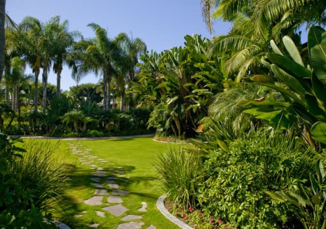 Tropical Courtyard