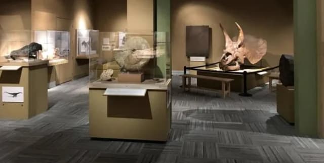Paleontology Hall