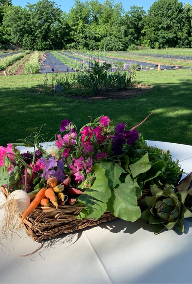 BCF Event Dinner Table in Field.jpg