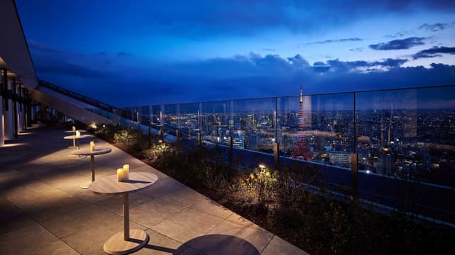 Andaz-Tokyo-Toranomon-Hills-P1208-Rooftop-Terrace-Reception-Evening-Blue.jpg