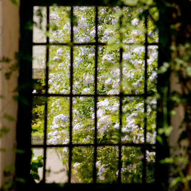 PatioJardineros.jpg