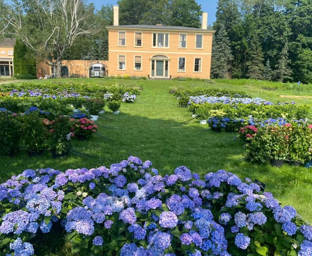 Upper Barn & Front Lawn