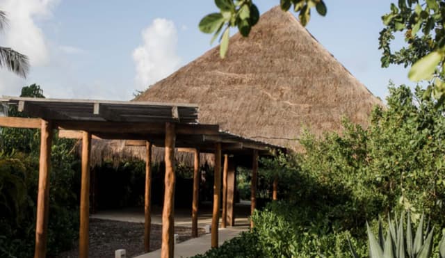 The Jungle Palapa