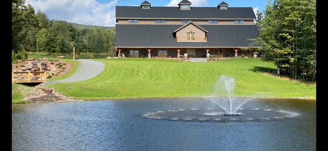 Lawn and Patio