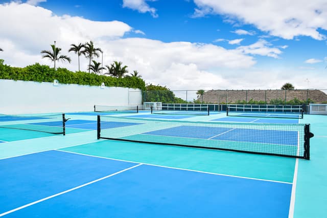 Pickleball Court