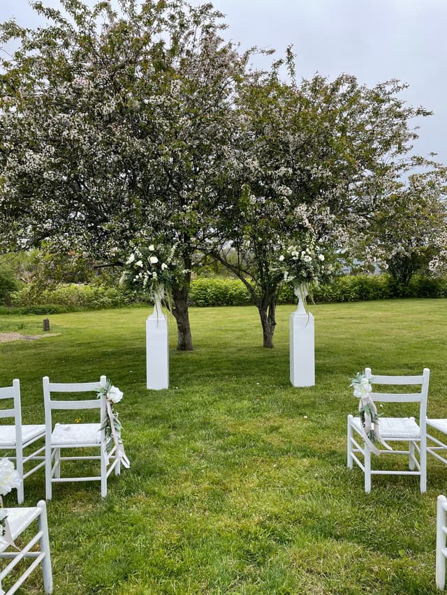 (8) Ceremony in the Meadow.jpg