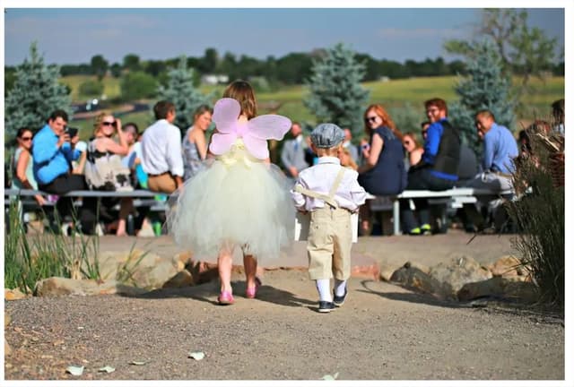 Butterflyringbearer.jpg