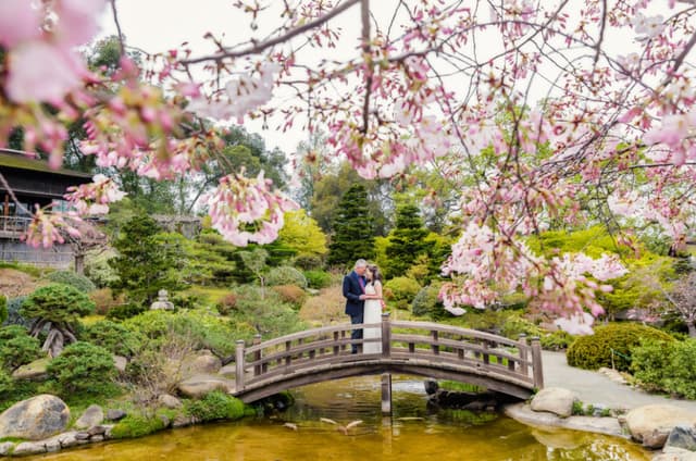 Toan Ven Bridge Blossoms.jpg