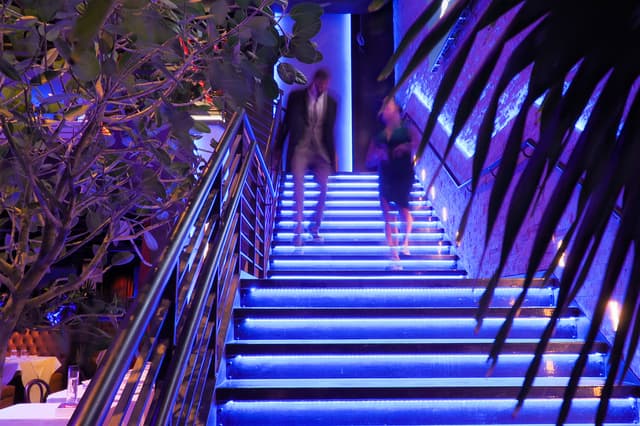 Main Dining Room Stairs.jpg