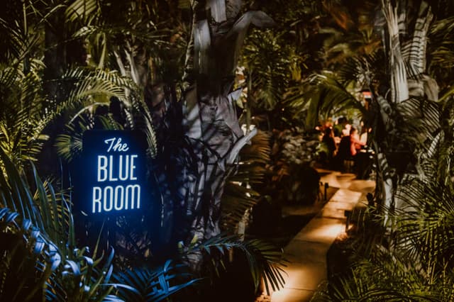The Blue Room 