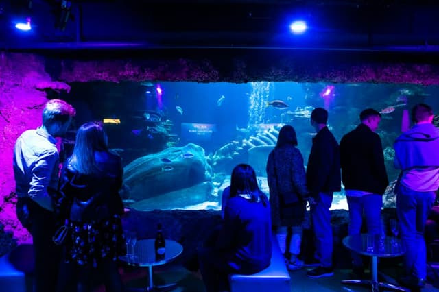 aquarium-3.jpg