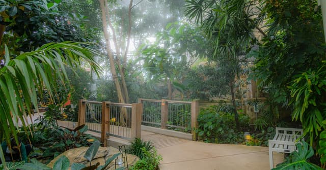 Tropical Forest Conservatory
