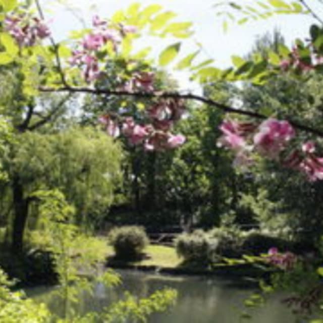 Open Air At The Zoo