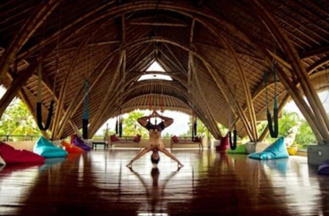 Fly-Shala-Aerial-Ubud-Bali-Circus-Mansion-Retreat (1).jpg