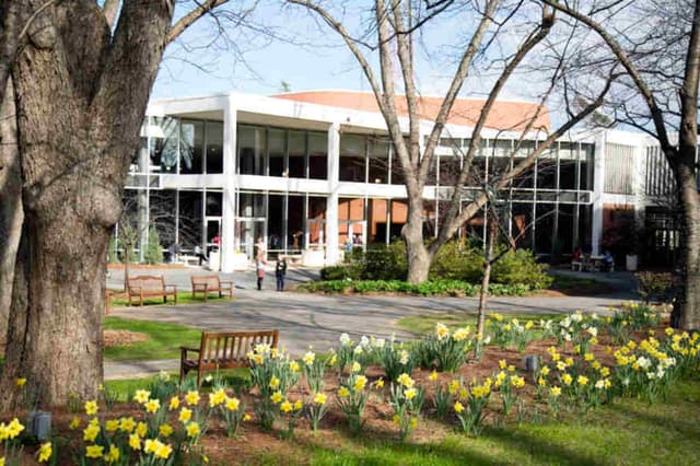 Lumpkin-Plaza-with-Daffodils.jpg