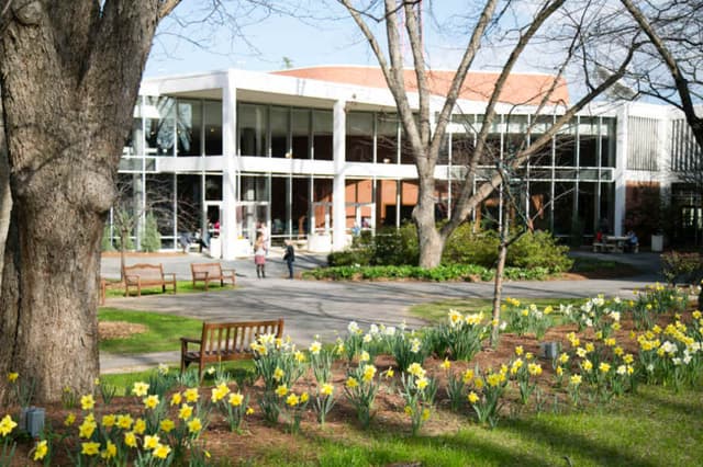 Lumpkin-Plaza-with-Daffodils2.jpg