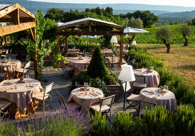 RESTAURANT_JARDIN_DANS_LES_VIGNES (2).jpg