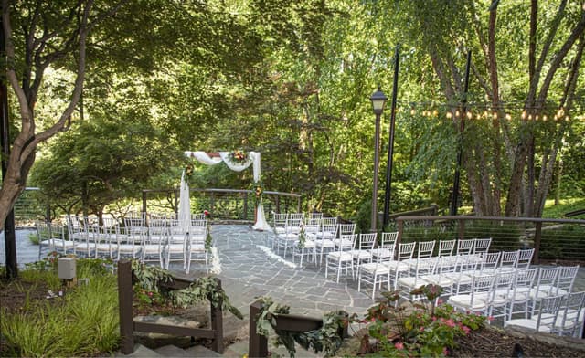 cp-ravinia-wedding-parkwoods-backyard.jpg