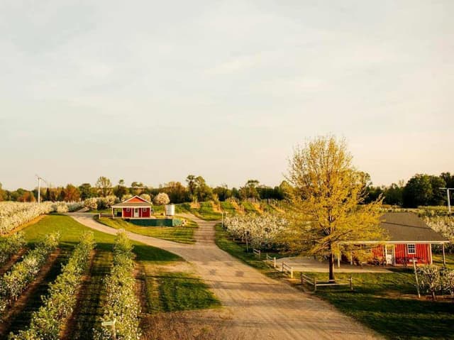 cranes-farm-michigan.jpg