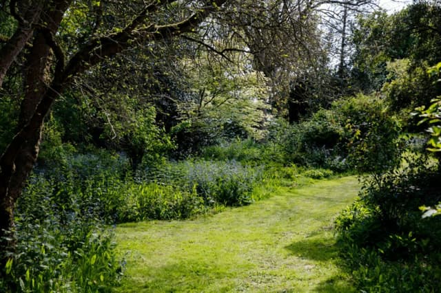 The Grounds