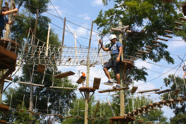 Full Buyout of Wild Blue Ropes Adventure Park at Wild Blue Ropes