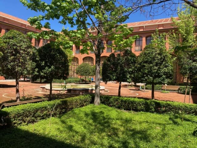 Interior Garden