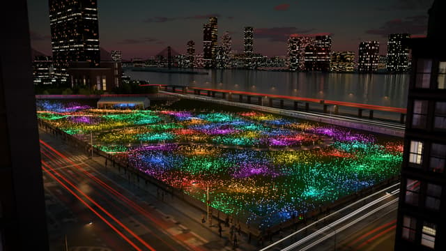 Full Buyout of Field of Light at Freedom Plaza