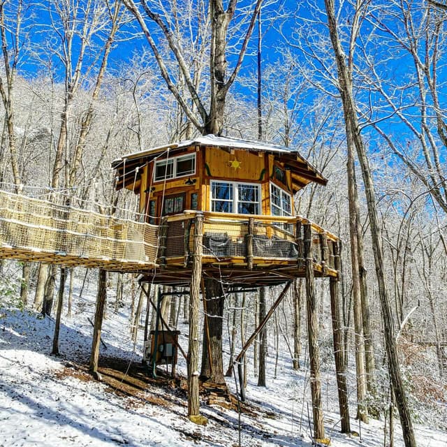 Full Buyout of Treehouse Mountain