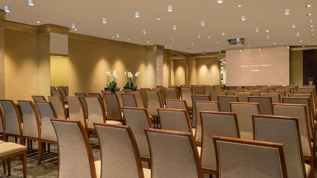 Park-Hyatt-Paris-Vendome-P1156-Cornaline-Meeting-Room-Theater-Set-Up-Screen.jpg