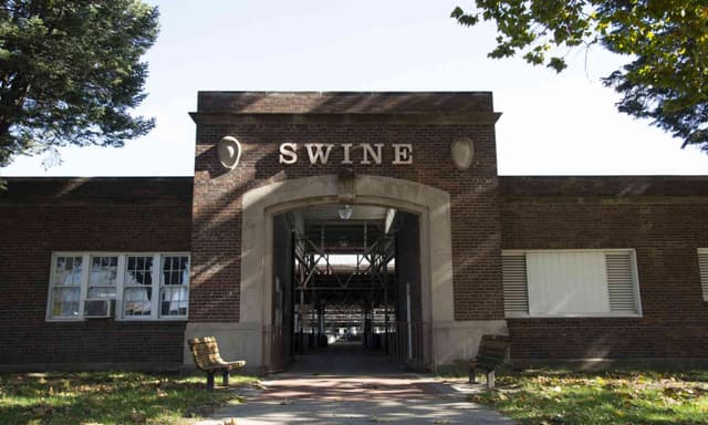 Swine Barn