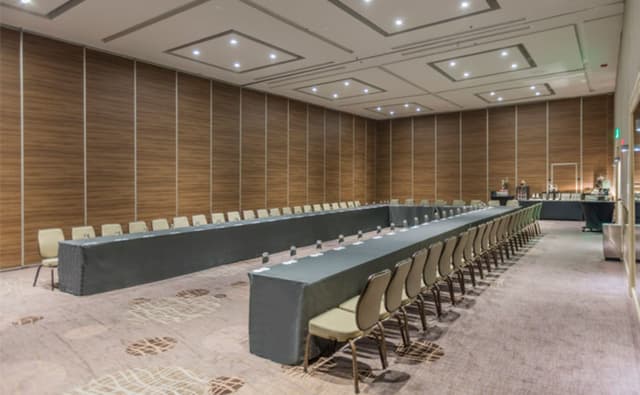 Meeting and Conference Rooms, Polanco