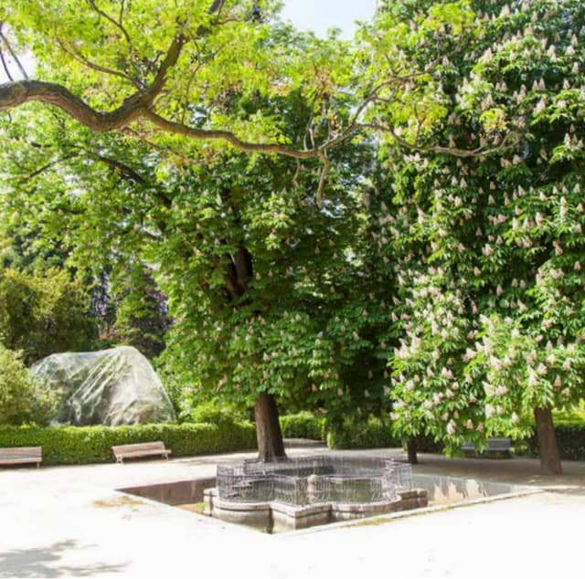 Roundabout of the Chestnut Trees