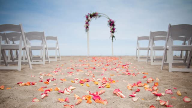 SBARS-P019-Beach-Wedding.jpg