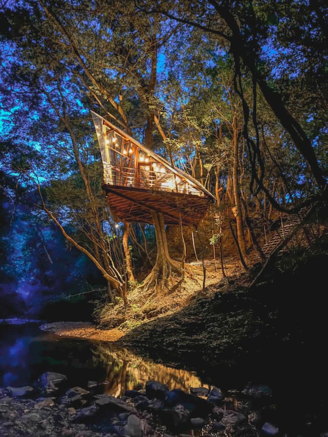 Halcyon Treehouse + AeroHouse 3