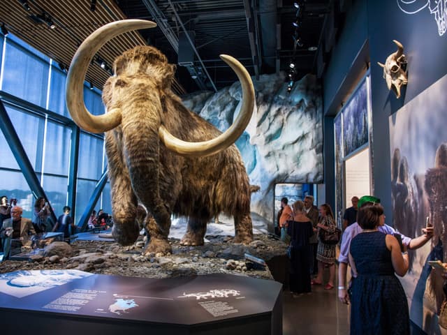 mammoth.jpg