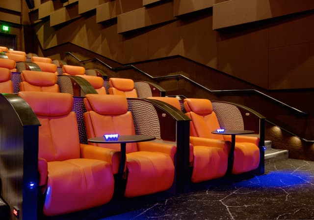 Full Buyout Of The IPIC Theaters