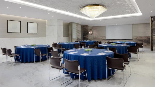 Hyatt-Regency-Dubai-P242-Regency-Meeting-Room.jpg