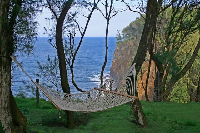 hammock_cliff.jpg