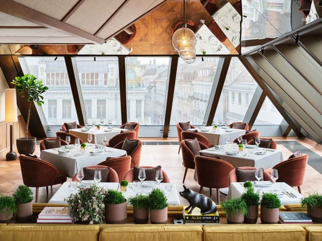 Neue-Hoheit-Brasserie-Dining-Room-1-scaled.jpg